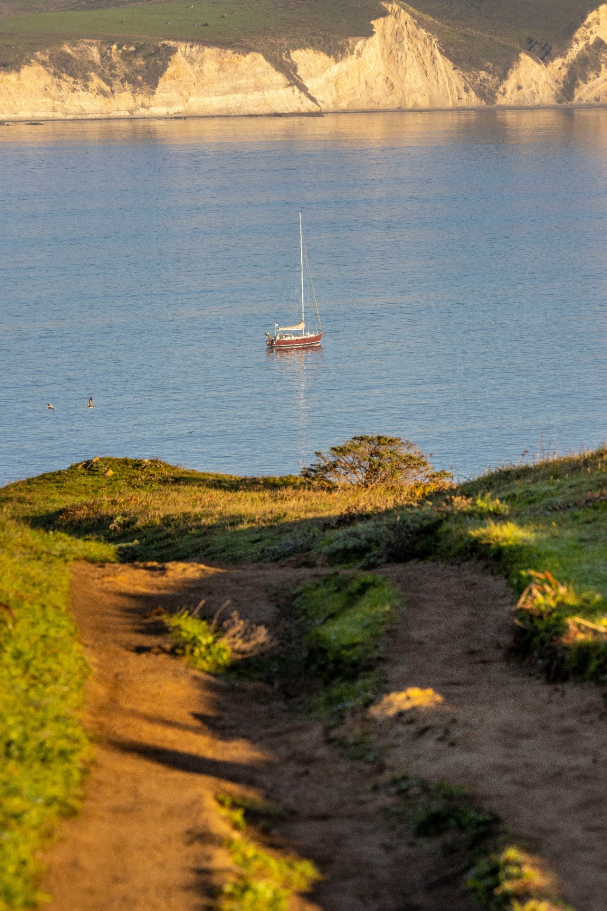 The wild edge of Point Reyes